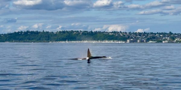 Frame-17-02-2023-12-13-37