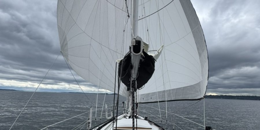 318358CD-7D00-419D-B3E0-CE9B1DB19F87_1_105_c