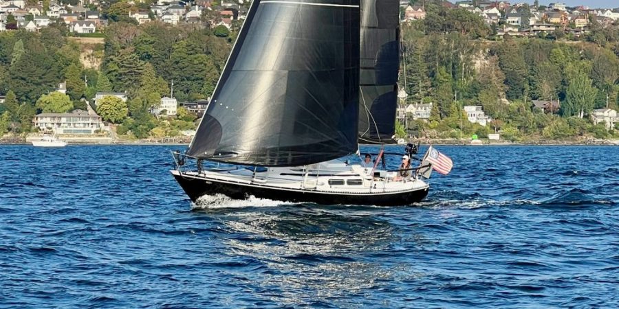 SLY sailing black sails