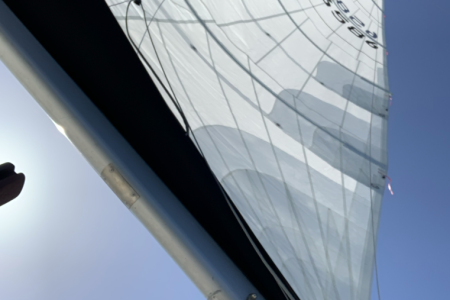 White sails
